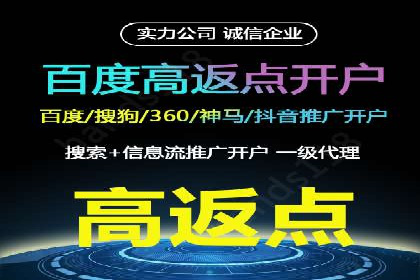 高效SEM托管公司案例对比分析